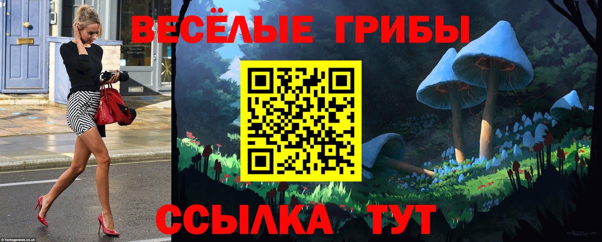 Павловский Посад  Псилоцибиновые грибы GOLDEN TEACHER  Псилоцибиновые грибы MAGIC MUSHROOMS  Вход с VPN 